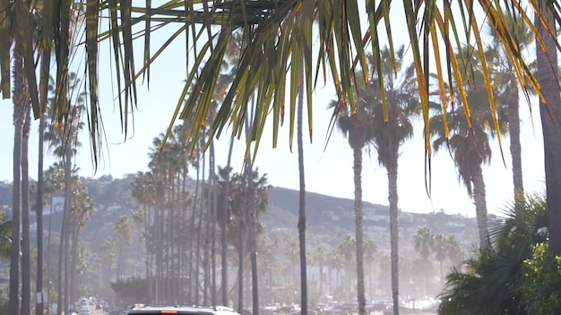 Reihe von Palmen Stadt in der Nähe von Los Angeles, Kalifornien Küste Palmen am Strand