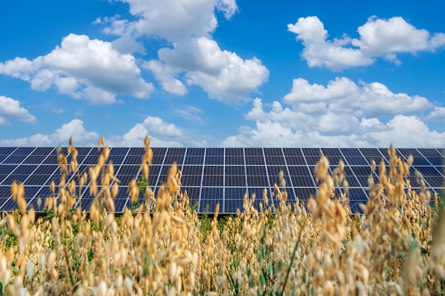 Reihe von Sonnenkollektoren auf einem Solarpark unter blauem Himmel im Feld