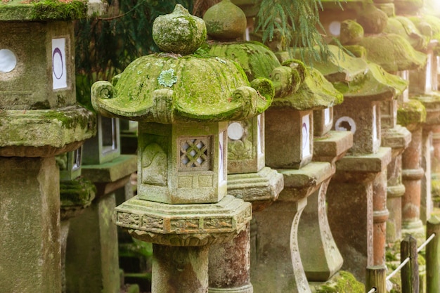 Reihen von alten Stein-, Beton- und Holzlaternen in Moos bedeckt. Nara Park, Japan