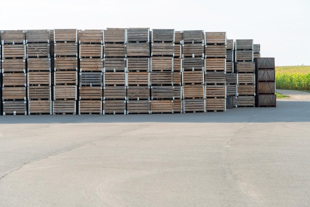 Foto reihen von holzkisten, kisten und paletten für die lagerung und den transport von obst und gemüse im produktionslager des lagers auf dem territorium des agroindustriellen komplexes