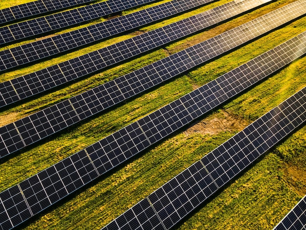 Reihen von Sonnenkollektoren in Feldern von oben nach unten Drohnenansicht