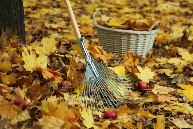 Reinigung der Herbstblätter im Park