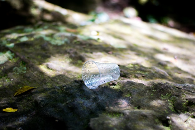 Foto reinigungsplastik und -abfall in der waldreise