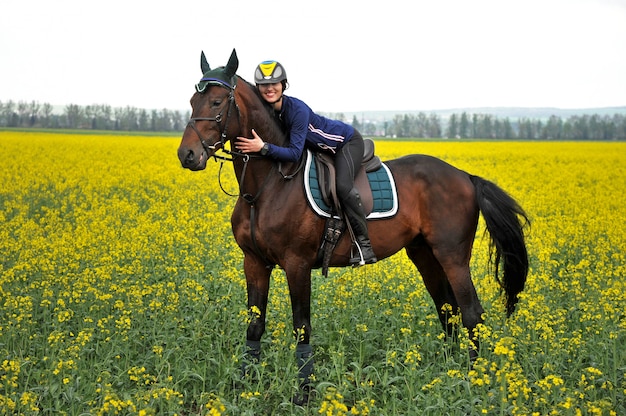 Reinrassiges Pferd mit Reiter auf einem Rapsfeld