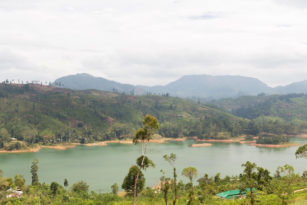 Reise-, Tourismus-, Natur- und Landschaftskonzept - Blick auf See oder Fluss von Landhügeln auf Sri Lanka