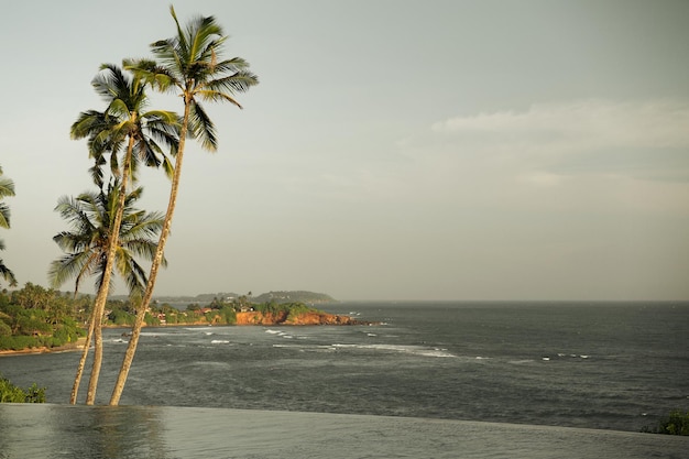 Reise-, Tourismus-, Urlaubs- und Sommerferienkonzept - Blick vom Infinity-Pool auf das Meer und die Palmen am Strand von Sri Lanka