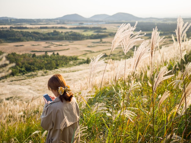 Reiseaktivitätsreise am schönen silbernen Gras oder am Miscanthus sinensis von einer Jeju-Insel in Korea-Herbst.