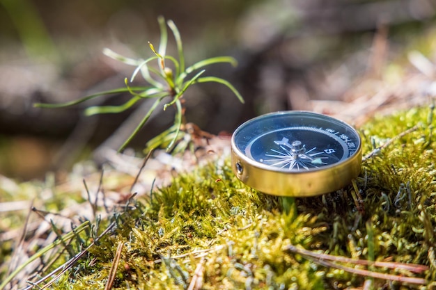 Foto reisekompass auf dem gras im wald