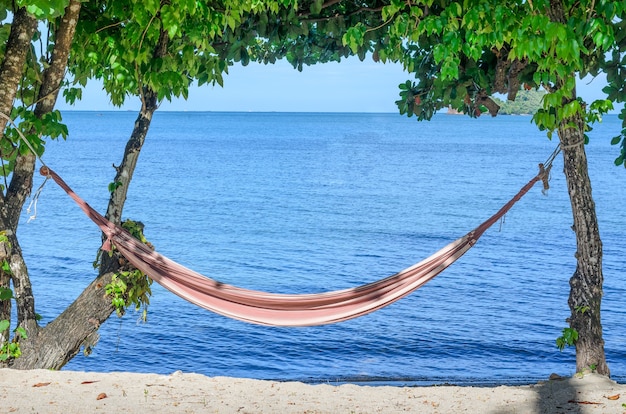 Foto reisekonzept: leere hängematte zwischen bäumen auf tropischem strand.