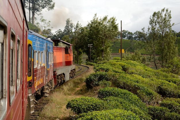 Reisen mit dem Zug in Sri Lanka