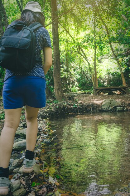 Reisen Sie die Frau, die auf Felsen, die Weise zum Wasserfall im Naturpark klettert