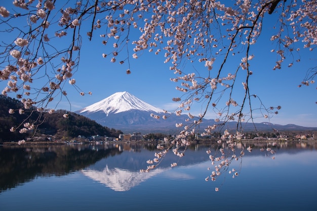 Reisen Sie Japan mit sehr schöner Szene von Sakura-Kirschblüte und mt.fuji