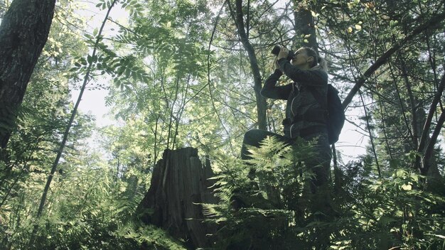 Reisende, die malerische Aussicht im Wald fotografieren Eine kaukasische Frau, die einen schönen magischen Blick schießt