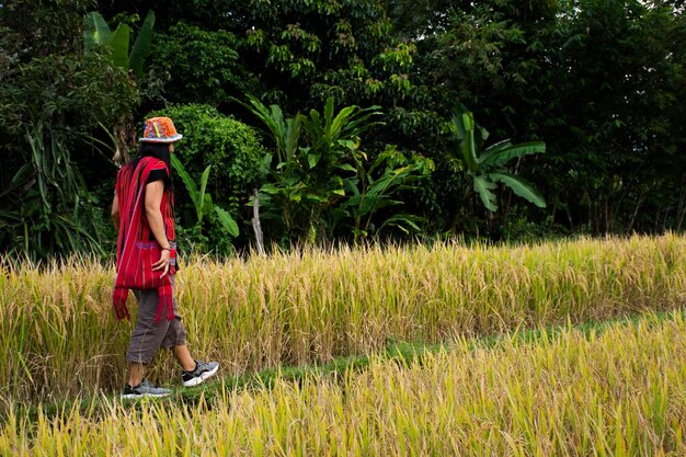 Reisende thailändische Frauen reisen besuchen Ruhe entspannen und fotografieren auf Ackerland von Reis- oder Reisfeldern auf dem Land im ländlichen Dorf Baan Huay Kaew in der Stadt Mae On in Chiang Mai Thailand