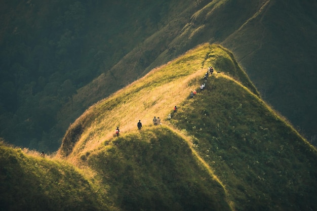 Foto reisende und bergsteiger, die auf dem berggipfel mit goldenem sonnenlicht bei khao chang phueak, thongphaphum, kanchanaburi, thailand, spazieren gehen?