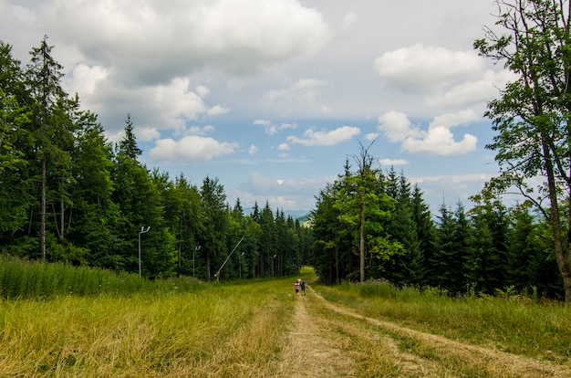 Reisende wandern in den Bergen