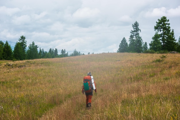 Reisender Mann in Rot mit großem Rucksack auf einem grasbewachsenen Hügel unter Wolken. Rucksacktourist geht im Sonnenlicht unter bewölktem Himmel einen Hügel mit Gras hinauf. Tourist geht im Sonnenschein auf einem grasbewachsenen Hügel in Richtung Wald bei bewölktem Himmel