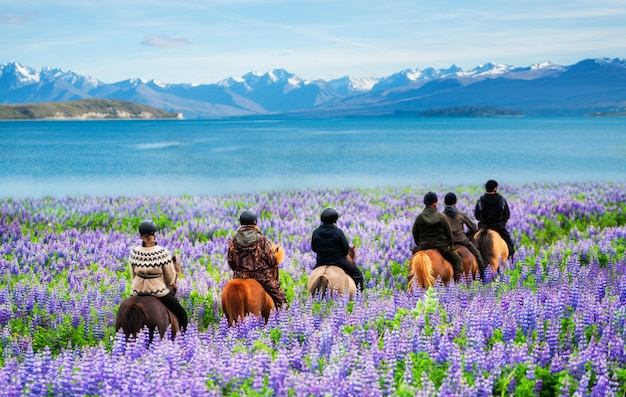 Reisender reiten Pferd am See Tekapo, Neuseeland.