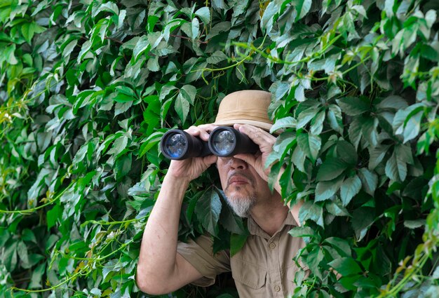 Reisender schaut durch ein Fernglas in die Blätter