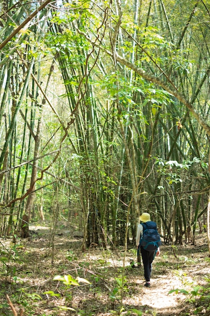 Reisendfrau mit Rucksacktrekking im Wald.