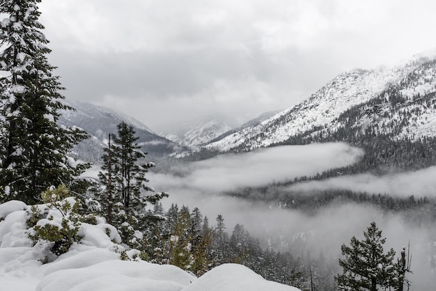 Reiseziel Naturschnee Erstaunliche Schönheit Winternaturlandschaft