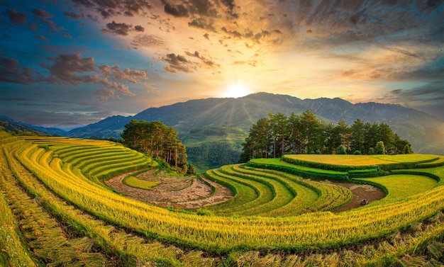 Foto reisfelder auf terrassen mit holzpavillon bei sonnenuntergang in mu cang chai yenbai vietnam