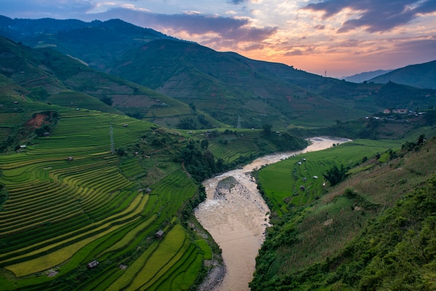 Reisfelder bereiten auf terassenförmig angelegtem in Muchangchai, Reisfelder die Ernte bei Nordwestvietnam vor.