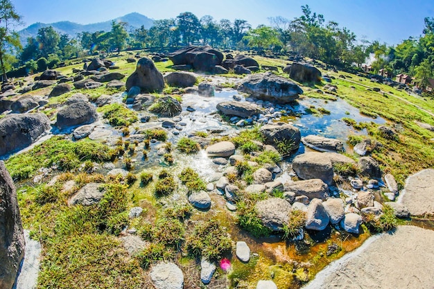 Reißzahn-heiße Frühlinge Chiang Mai Thailand