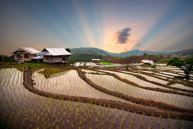 Reisterrasse Ban Mae Klang Luang am Norden von Thailand im Tageszeit-chiangmai Thailand. Reisfelder, Chom Thong District in Thailand.