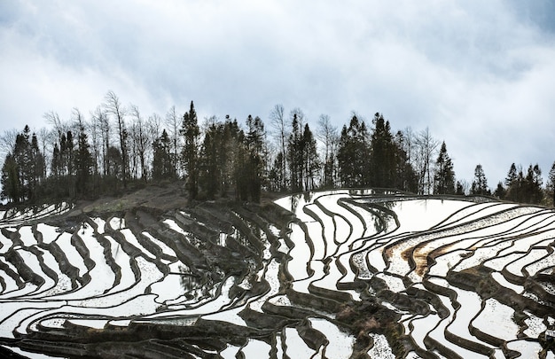 Reisterrassen im Landkreis Yuanyang. Provinz Yunnan. China.