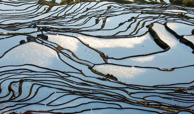 Reisterrassen im Landkreis Yuanyang. Provinz Yunnan. China.