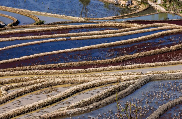 Reisterrassen im Landkreis Yuanyang. Provinz Yunnan. China.