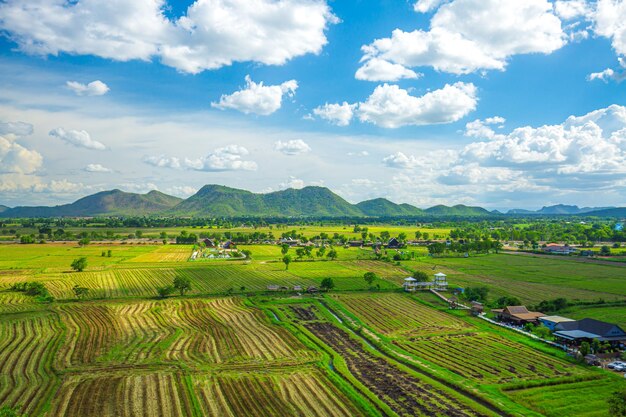 Reisterrassen-Luftaufnahmebild eines schönen Terrassenreisfeldes in Chiang Rai Thailand