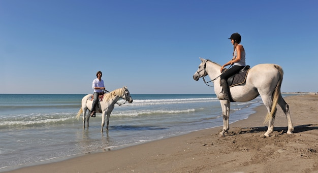 Reiten in den Ferien