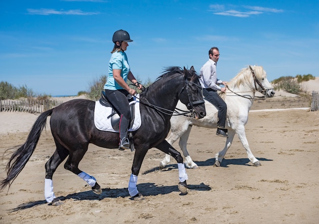 reiten paar am strand