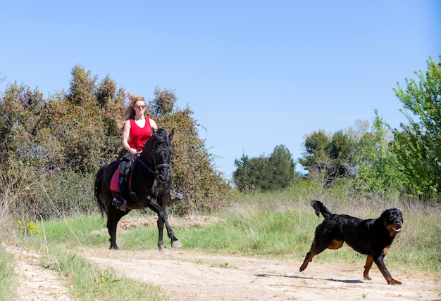 Reitmädchen trainieren ihr schwarzes Pferd