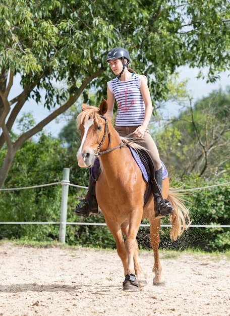 Reitmädchen und Pferd