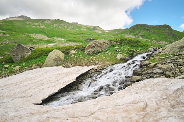 Reiver im Berg und im schmelzenden Gletscher