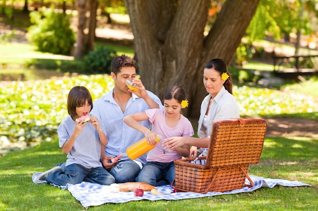 Reizende Familie, die im Park picknickt