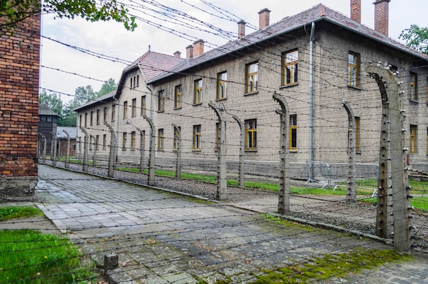 Foto rejas del campo de concentracion de auschwitz