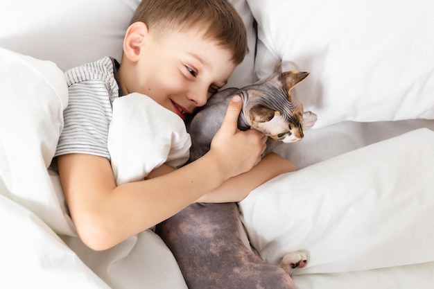 Relación gato y humano Amistad con mascota Niño abrazo con gato sphynx canadiense gris yendo a la cama Animal de apoyo emocional Actividad interior