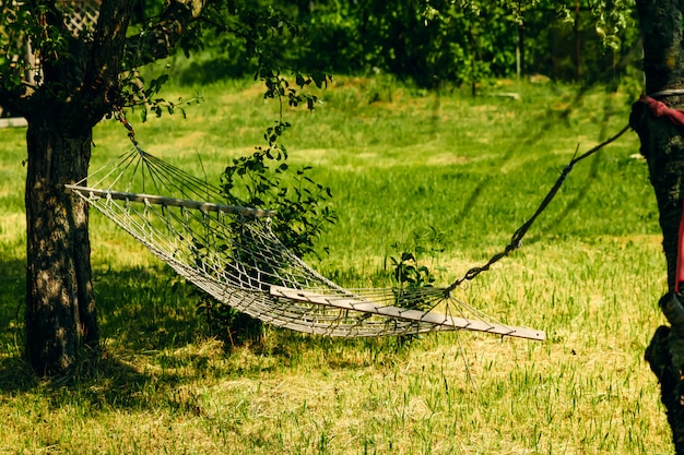 Relajante tiempo perezoso con hamaca en el bosque verde