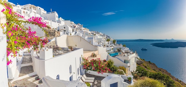 Relajante vista romántica con arquitectura blanca flor Santorini Grecia caldera vista sobre el mar azul