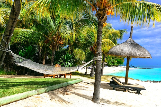 Relajantes vacaciones tropicales. paisaje con hamaca bajo palmera