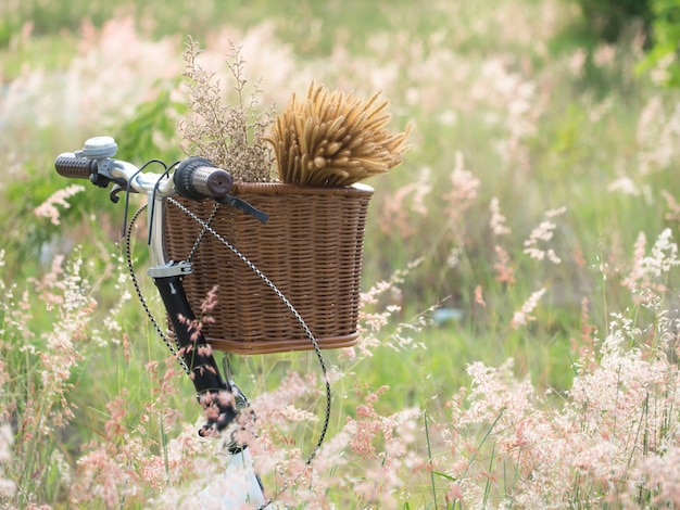 Relájese con bicicleta en el prado de flores al aire libre