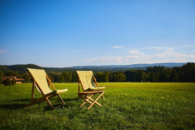 Relájese con una silla y una mesa de madera Disfrute de la vista del bosque del jardín