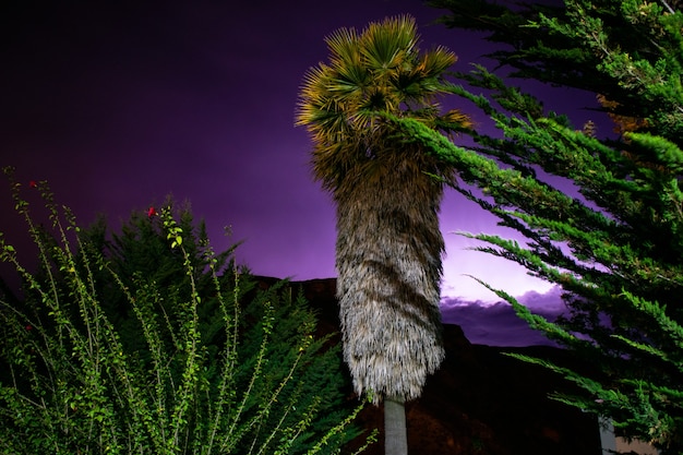 Relámpago en la noche