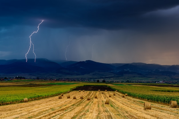 Relámpago sobre el campo. Tormenta y relámpagos sobre el campo agrícola.