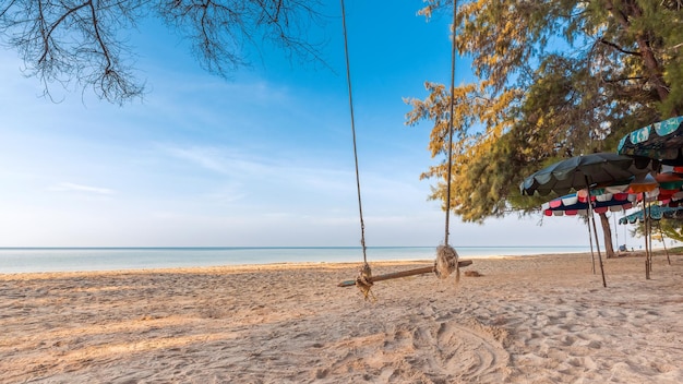 Relaxando na praia com balanço de corda sob o pinheiro nas férias de verão, viagem e conceito relaxante