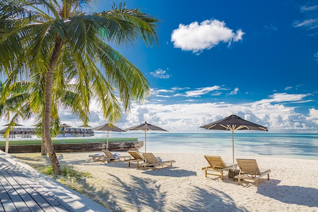Relaxe cadeiras de cama de praia VIP de luxo, dia ensolarado de céu azul, palmeiras, areia do mar. Férias de luxo